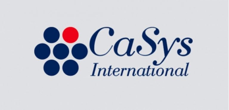 Int sys