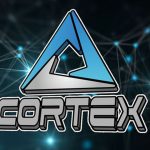 cortex