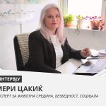 Glavna slika Cakic