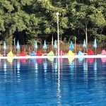 Veles 1