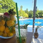 Veles 22