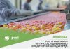 „Стоби флипс“ грицка најголем приход, „Винчини“ се засладува со најголем профит